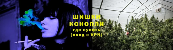 соль курить ск Белокуриха