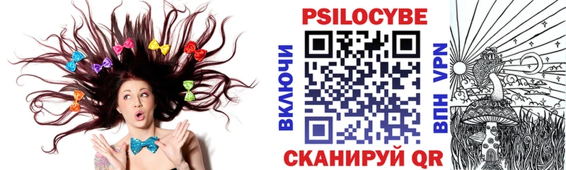 Купить  Кукмор  Псилоцибиновые грибы ЛСД 
